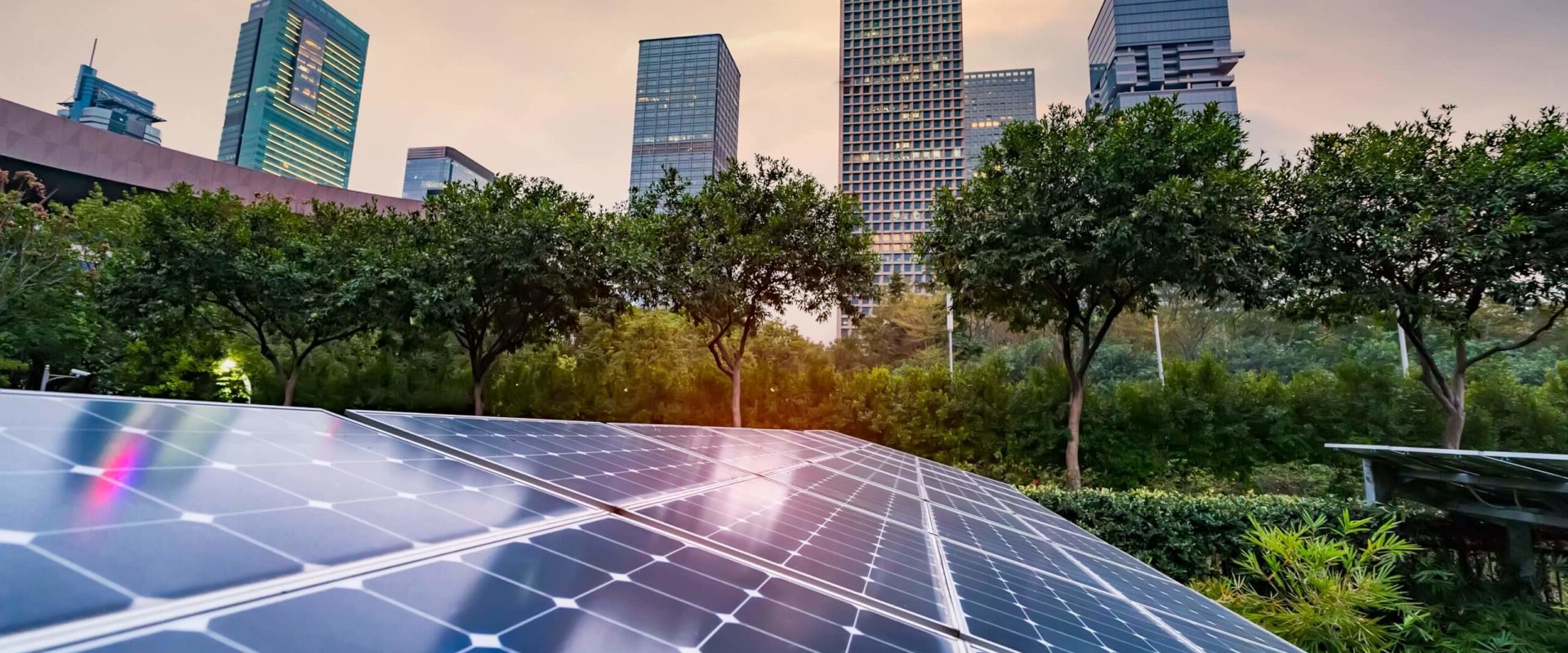 Comparing Energy Plans and Providers: A Comprehensive Guide to Saving Money and Going Green